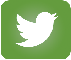 green-twitter-button